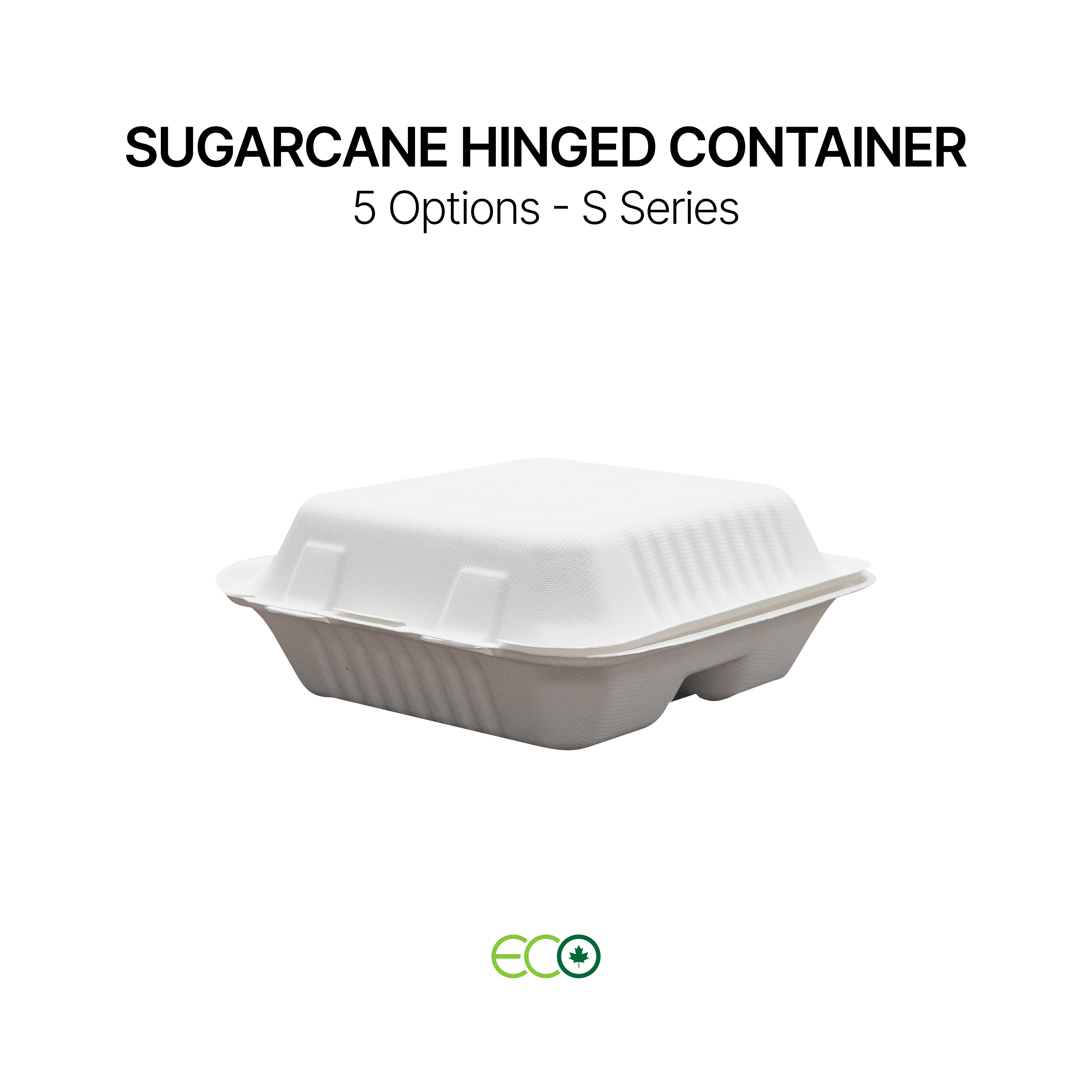Sugarcane Hinged Container 8*8*3